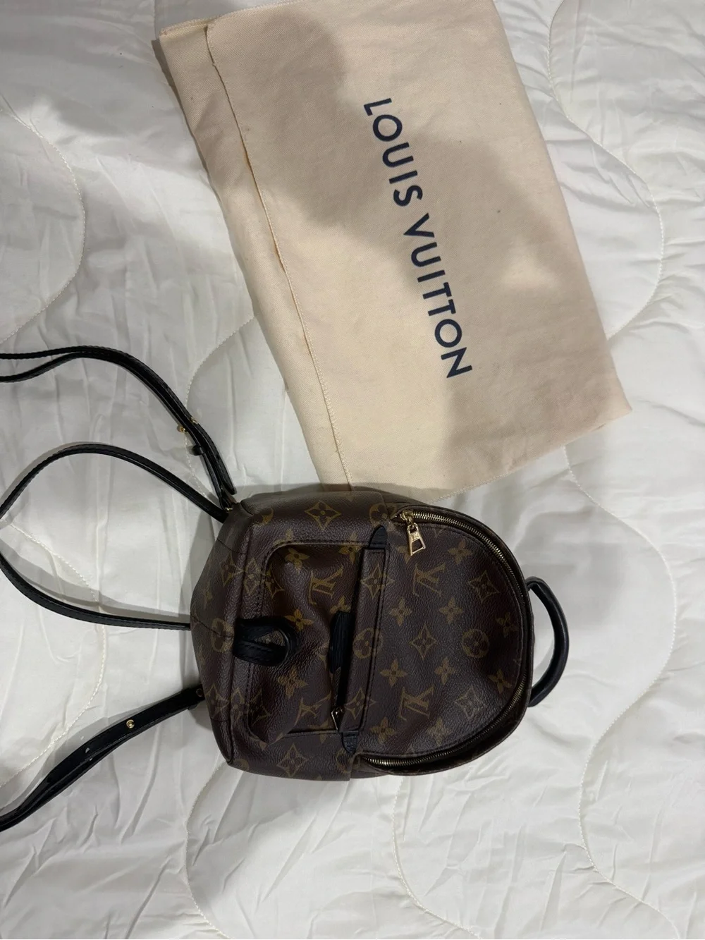 Louis Vuitton palm spring mini